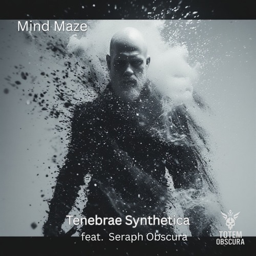 Mind Maze (feat. Seraph Obscura)
