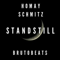 Homay Schmitz - Standstill (Brutobeats remix)