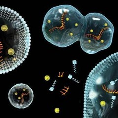 6. How Did Life On Earth Originate?