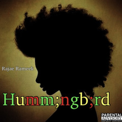 Humming Bird (vibes by Danu)