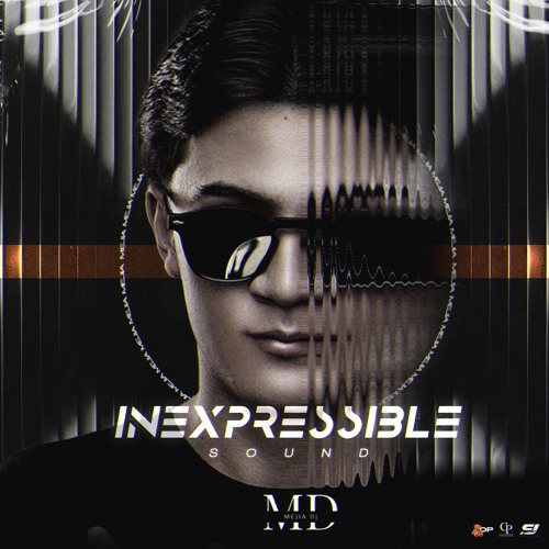 I N E X P R E S S I B L E   S O U N D 🏵🎋