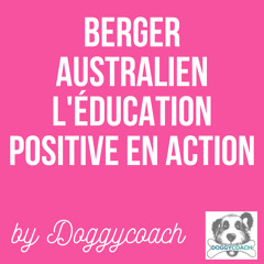 BERGER AUSTRALIEN Le Pouvoir de la Socialisation Précoce s04e07 PART 4