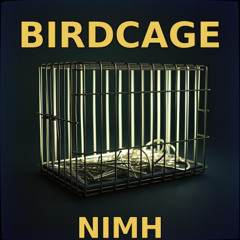 Track 22 : Birdcage