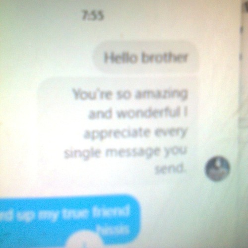 ציפור בודד על גג אינסרומנטלי