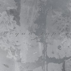 Feel Like Going Home