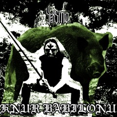 Yersinia - Knur Babilonu