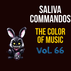 The Color Of Music Vol. 66