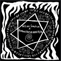 A Demonstrative Manifesto - William Sunshine