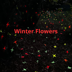 Winter flowers - LEGENDE SUR TABLEAU NOIR (Instrumental)