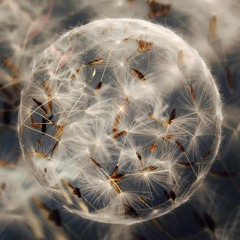 Grateful (COFRESI Remix)