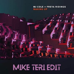 MJ Cole & Freya Ridings - Waking Up (Mike Teri Edit) [DL LINK]