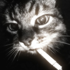 Cold Nights ft. denzo