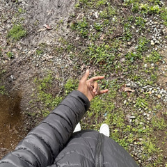 Yavo remix- Jayfrm870