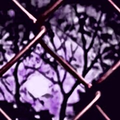 saraunh0ly - Wutiwant -(Slowed + Reverb)- Full song