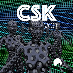 CSK - Voq (Back From The Wave Rmx Instrumental)