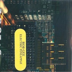 Rob Gee - Electric Pineapple - 1997