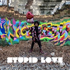 Stupid Love