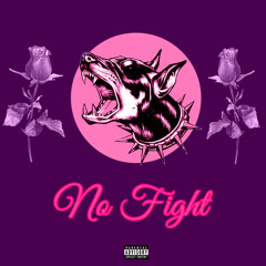 NO FIGHT