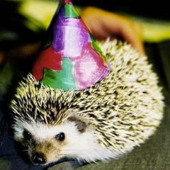 Hedgehog Party