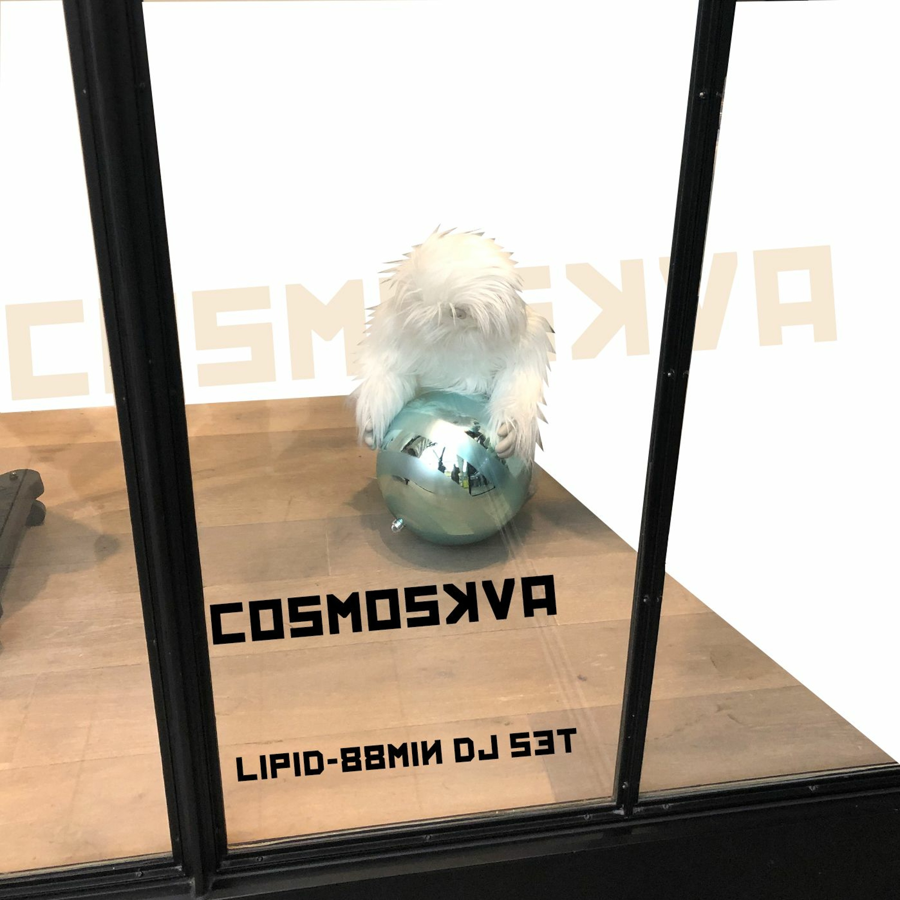 Cosmoskva\'s in love with the music