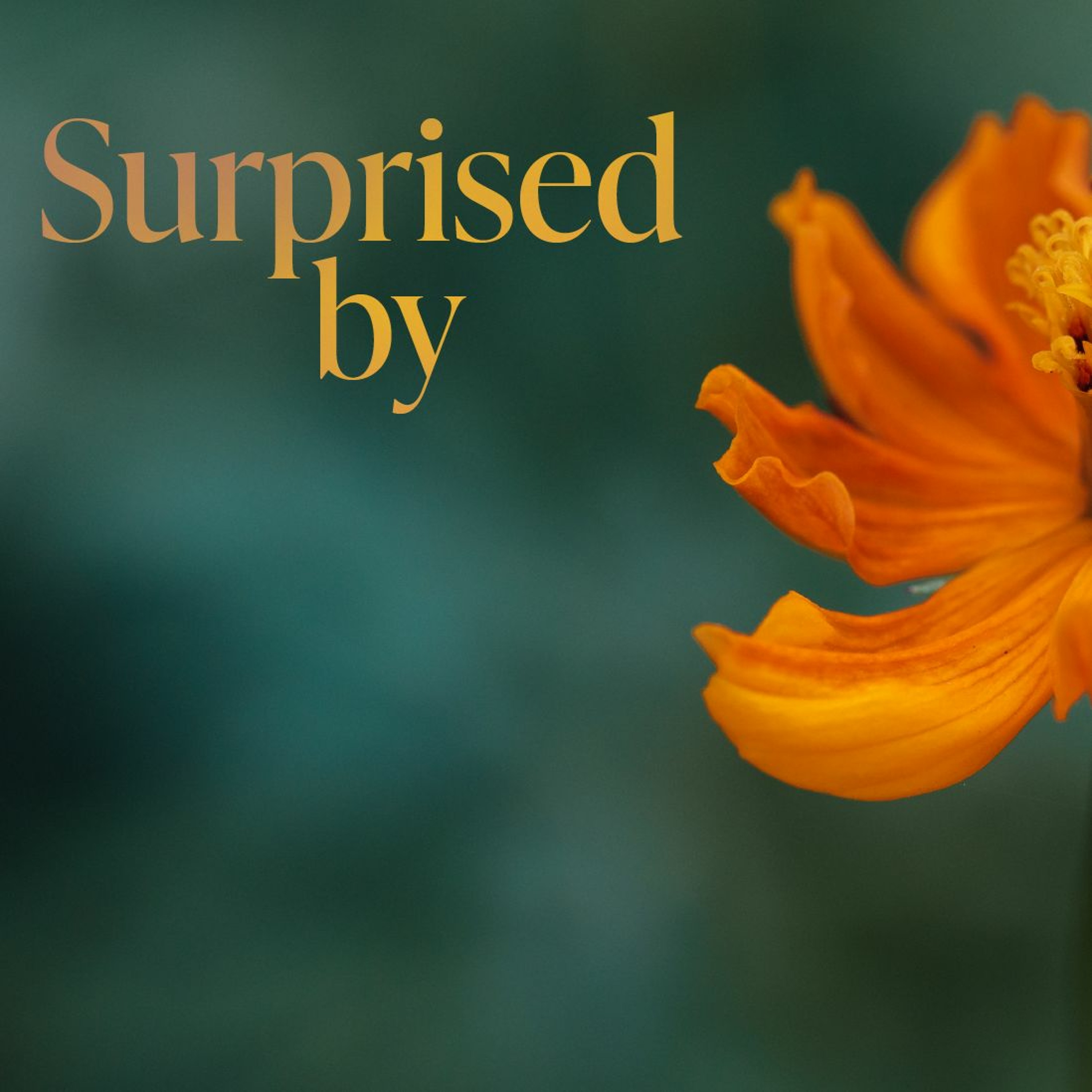 Surprised By The Church | Surprised By... | Ethan Magness