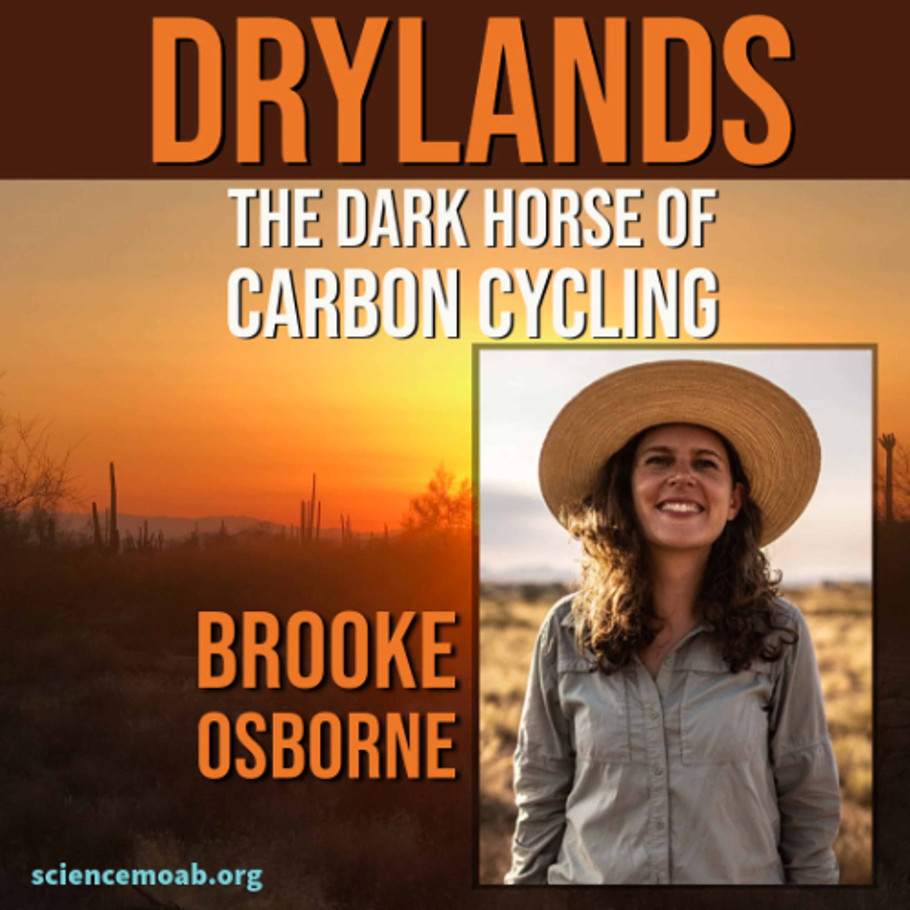 Drylands:  The Dark Horse of Carbon Cycling