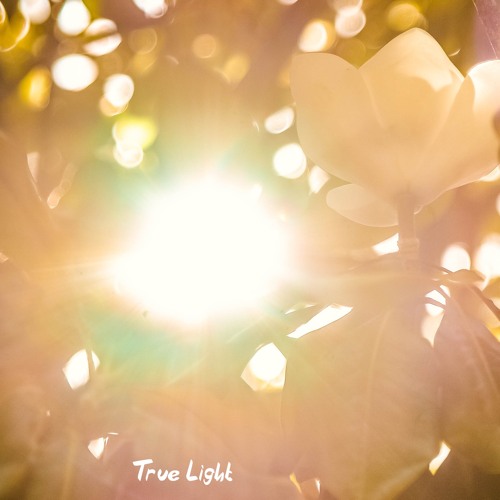 Equanimous, Florestella, Watashi - True Light