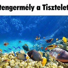 teli vadulos coronita mix