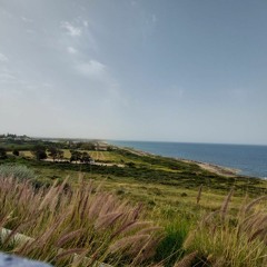 קרן פלס - מישהו שמח בשבילי