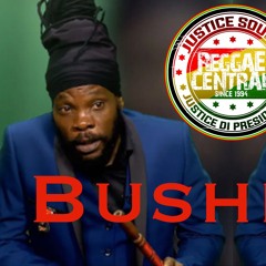 Bush Man Mix | Justice Sound