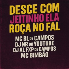 DESCE COM JEITINHO ELA ROÇA NO FAL (feat. DJ NR do YouTube)