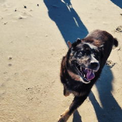 Maya Manuela - Multiverse (Camille and Pyroaxi cover)