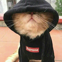 berita kepada kawan_iwan da filth