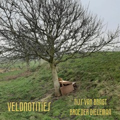Veldnotities V3