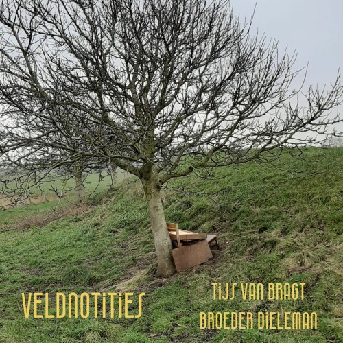 Veldnotities V3