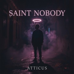 Fine on paper | Saint Nobody