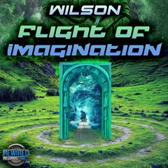 Wilson - Flight Of Imagination