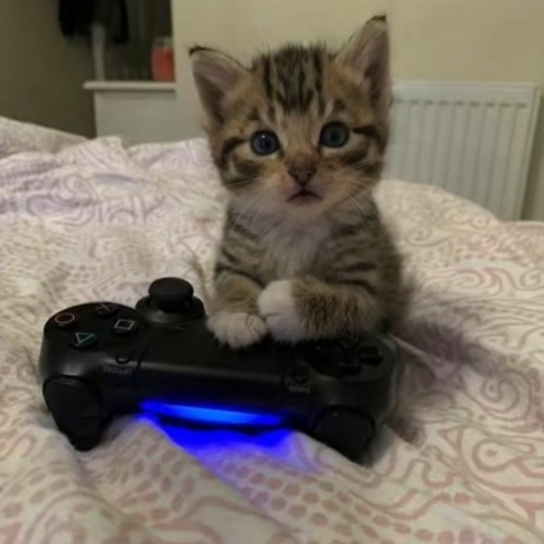 Sofaygo - Knock Knock (Speed up)