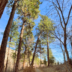 durk urus #flippppppppp