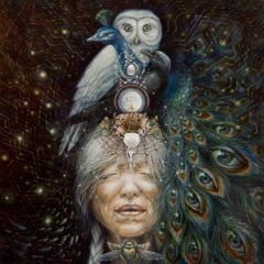 For the birds