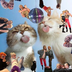 PAWCAST 001