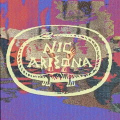 Nic Arizona - Rules From