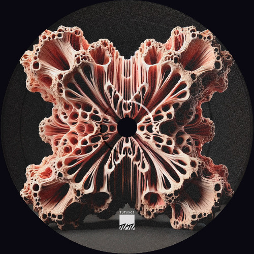 Isgang - Rechazo (Original Mix)