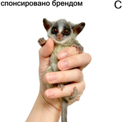 СиськиЖопа