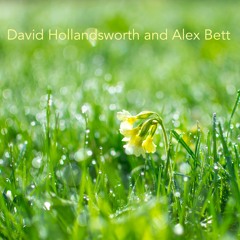 Mirrored Dew (David Hollandsworth and Alex Bett)