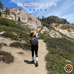 Beautiful Life