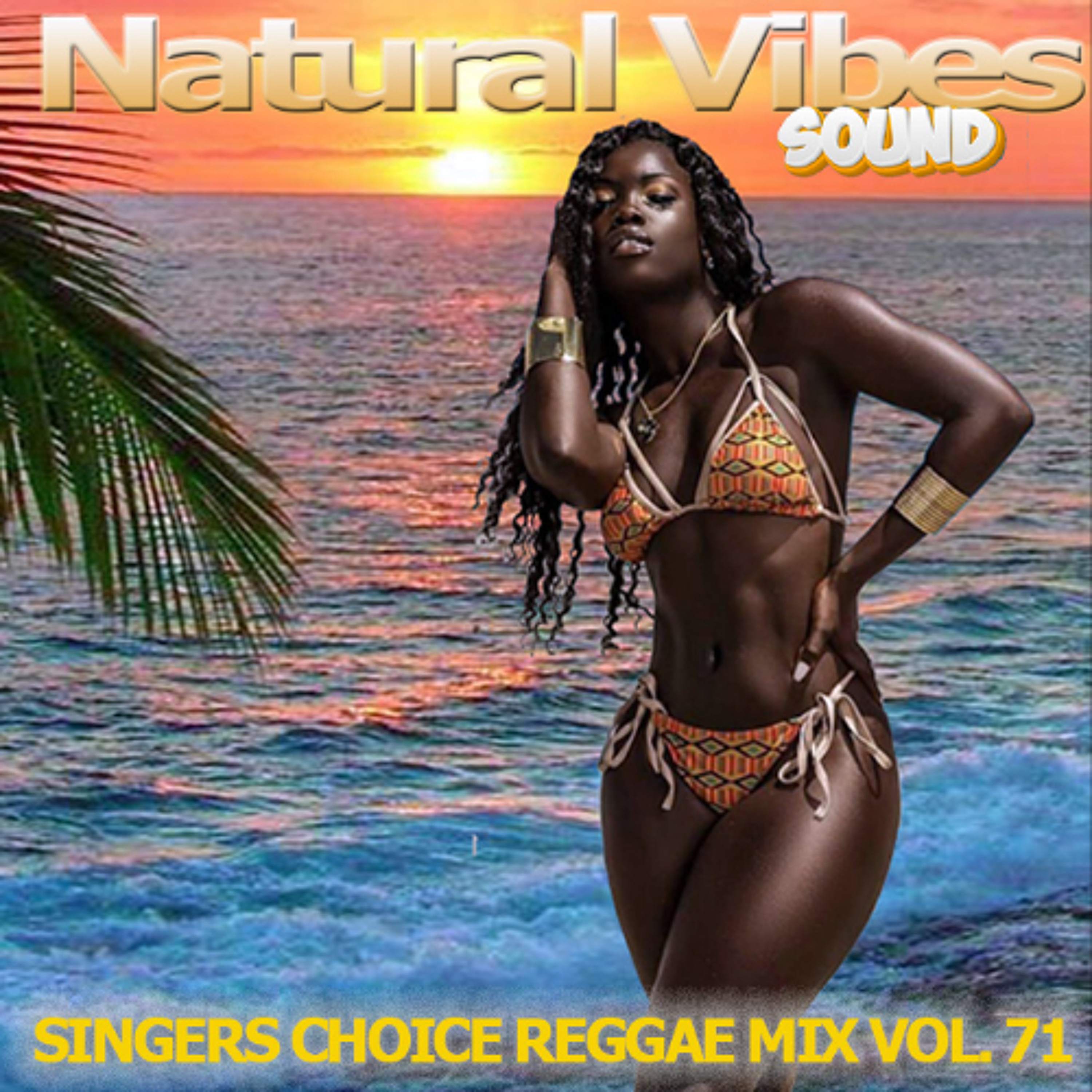 NATURAL VIBES SOUND SINGERS CHOICE REGGAE MIX VOL 71 episode artwork