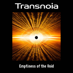 Emptiness of the Void