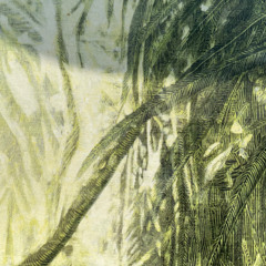 CD sel. JULY - Dual feelings