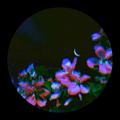 4 AM